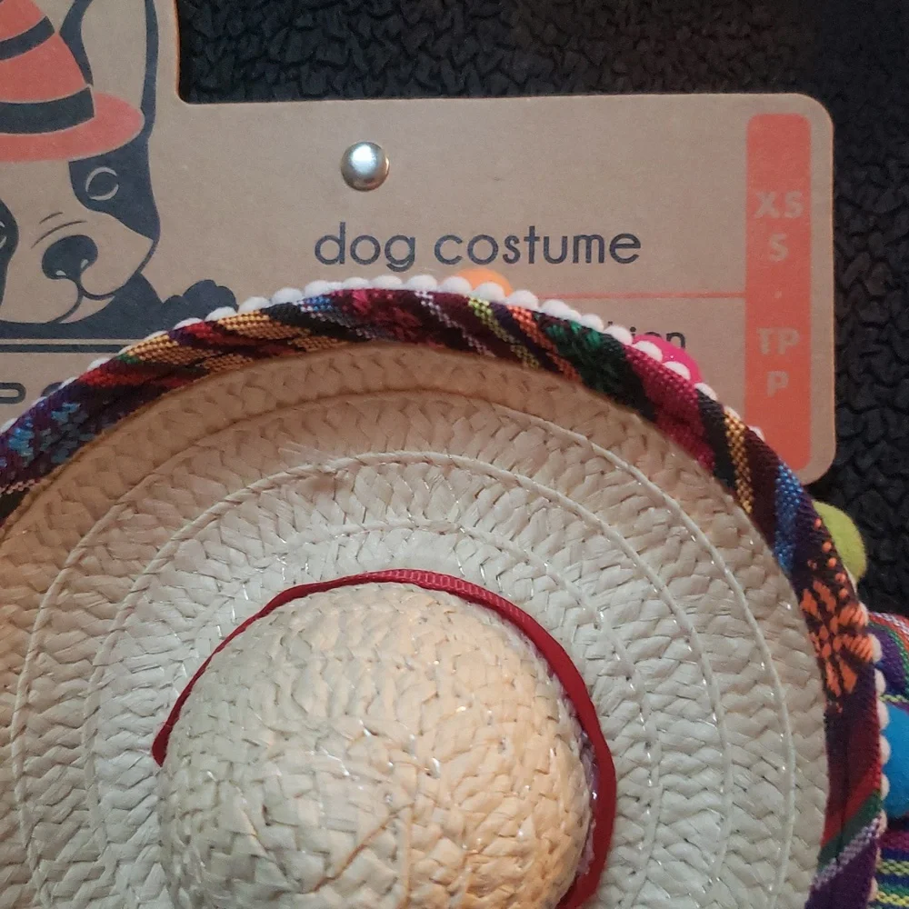 Pup Crew NWT Dog Apparel Multicolor Striped Serape and Sombrero